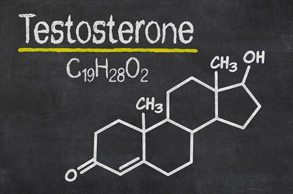 Bổ sung testosterone sẽ giúp tăng ham muốn ở nữ giới